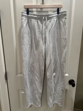 Aritzia Light Gray Sweat Fleece Pant